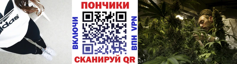 кракен как зайти  Олонец  Конопля планчик  купить наркотики цена 